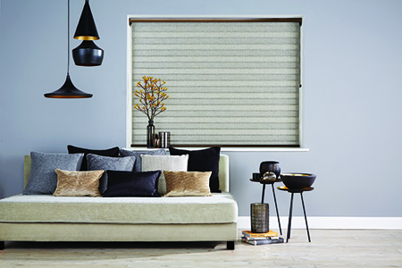 Vision Blinds